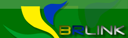 BrLink Network